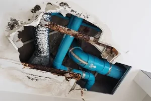 How to Avoid Frozen Pipes and Winter Water Damage in Missouri - We Kleen Green