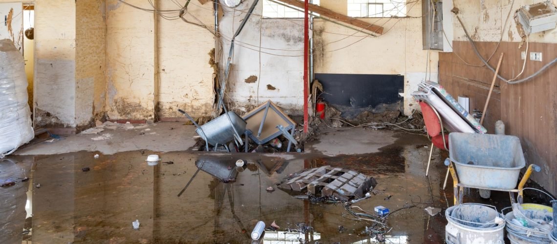 Top Mistakes Homeowners Make After Water Damage (DIY vs. Professional Cleanup) - We Kleen Green